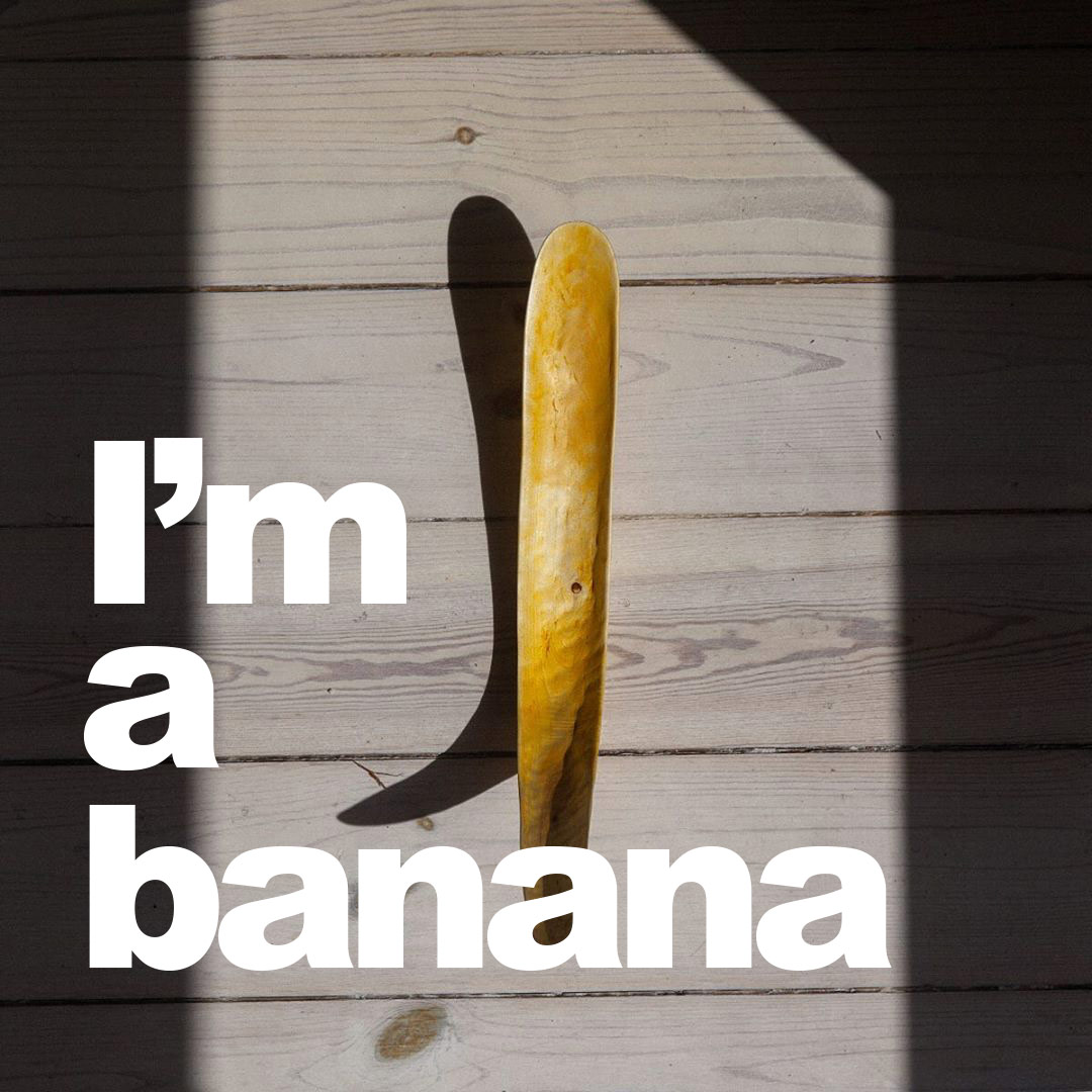 65222479_865714953808514_8497375161022181778_n_02